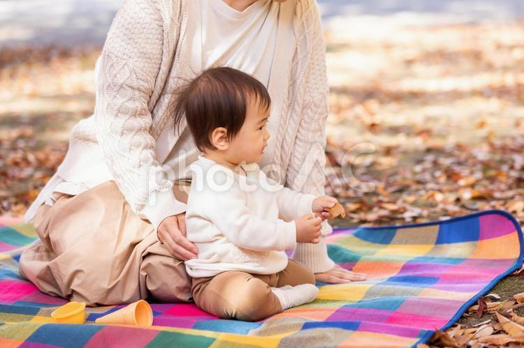 秋の公園で遊ぶ赤ちゃんとママ 赤ちゃん,抱っこ,ピクニックの写真素材