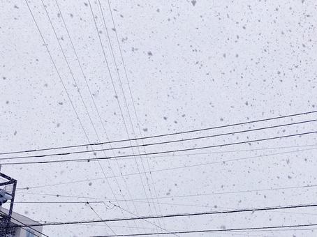 雪 雪の写真