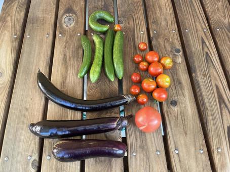 Freshly picked vegetables, JPG