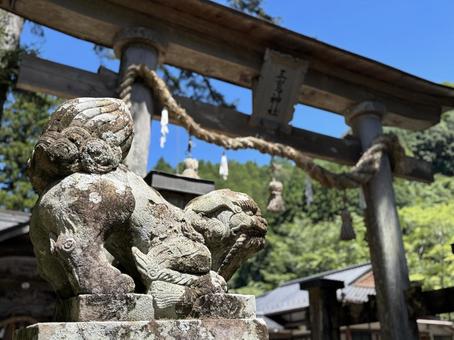 三嶋神社の狛犬と鳥居 三嶋神社,神社,梼原の写真素材