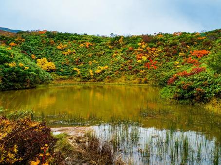 紅葉の栗駒山(須川岳) 紅葉の栗駒山(須川岳) 栗駒山,須川岳,神の絨毯の写真素材