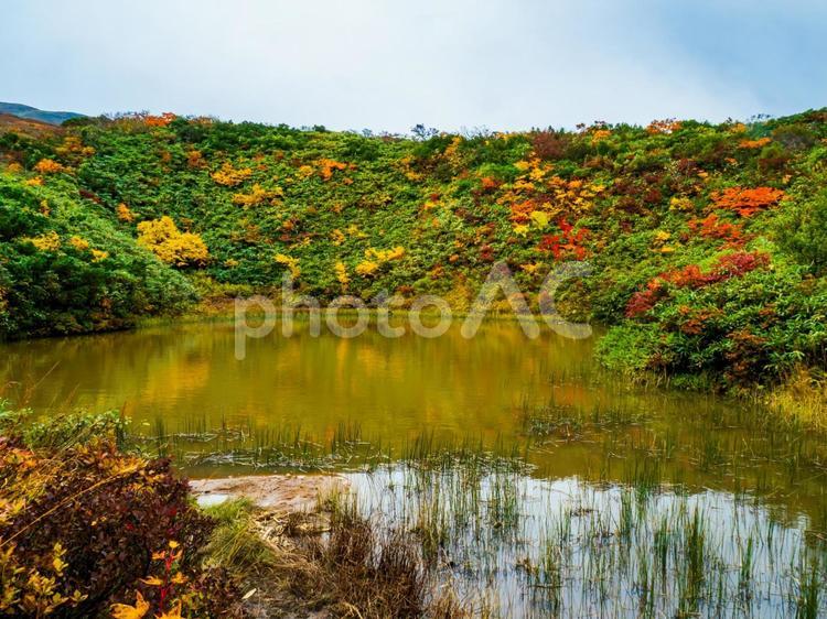 紅葉の栗駒山（須川岳） 栗駒山,須川岳,神の絨毯の写真素材