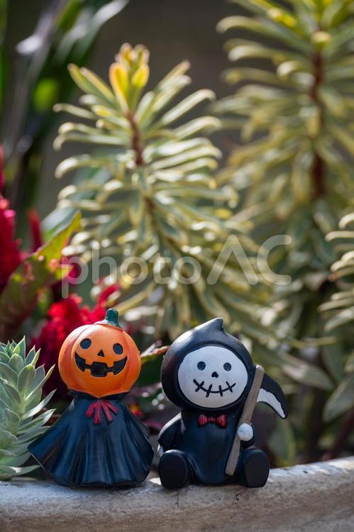 縦位置も決まっていますね ハロウィーン,かぼちゃ,お化けの写真素材