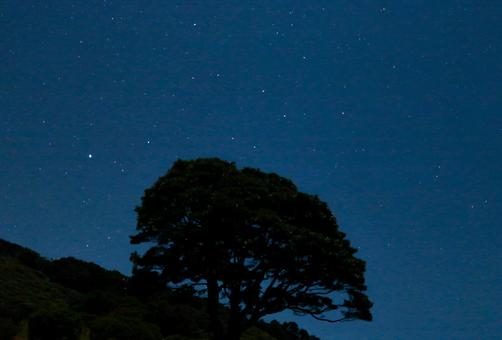 星空の写真