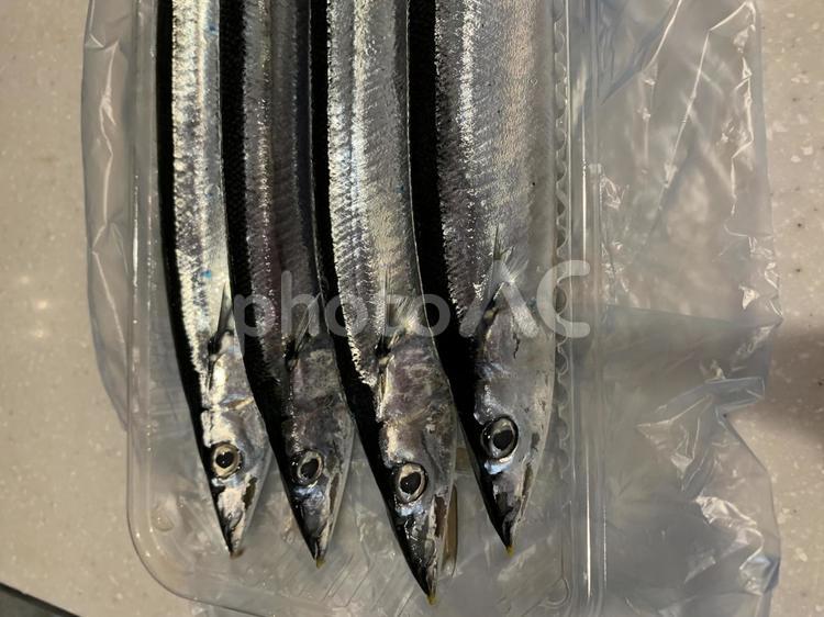 秋刀魚　新鮮 秋刀魚,新鮮,秋の味の写真素材