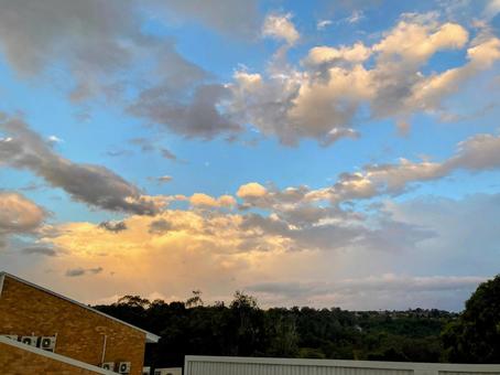 夕暮れ空 木,海外,自然の写真素材