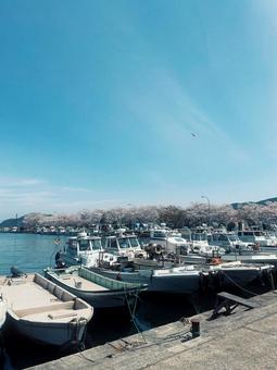 離島の景色 離島の景色 沖島,漁港,漁船の写真素材