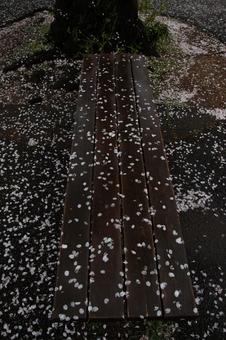 ベンチにこぼれる花びら ベンチにこぼれる花びらの写真
