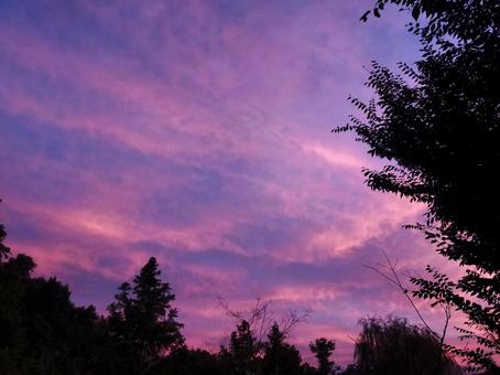 茜空 茜空 茜空,夕暮,夕焼の写真素材