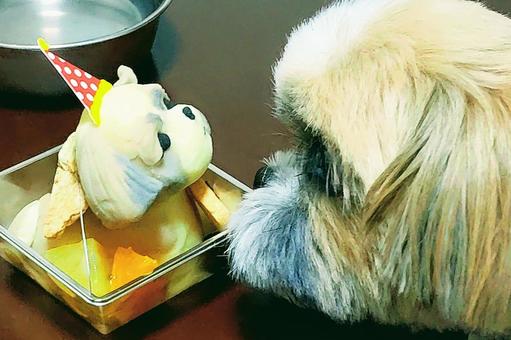 Hình ảnh, bánh sinh nhật, 飼 犬, con chó cưng, 