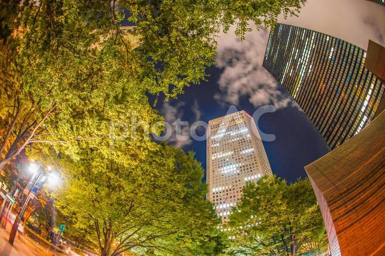 東京新宿の高層ビル群の夜景 新宿,西新宿,夜景の写真素材
