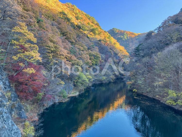 みずがき湖　本谷川 紅葉,みずがき湖,秋の写真素材