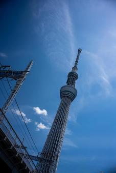 青空にそびえる東京スカイツリー 東京スカイツリー,スカイツリー,タワーの写真素材