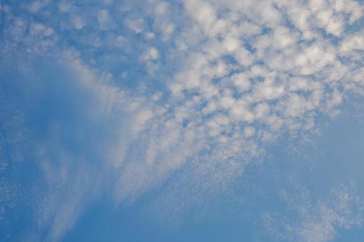 夏の空⒁ 夏の空⒁の写真