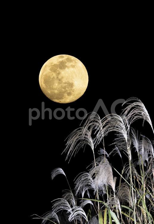 中秋の名月の満月とススキのお月見 お月見,満月,ススキの写真素材