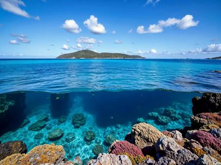 南国の海の中の写真