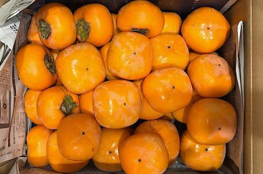 田舎から届いた柿 柿,かき,秋の味覚の写真素材