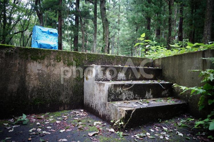 苔が生えた石階段 階段,石,石階段の写真素材