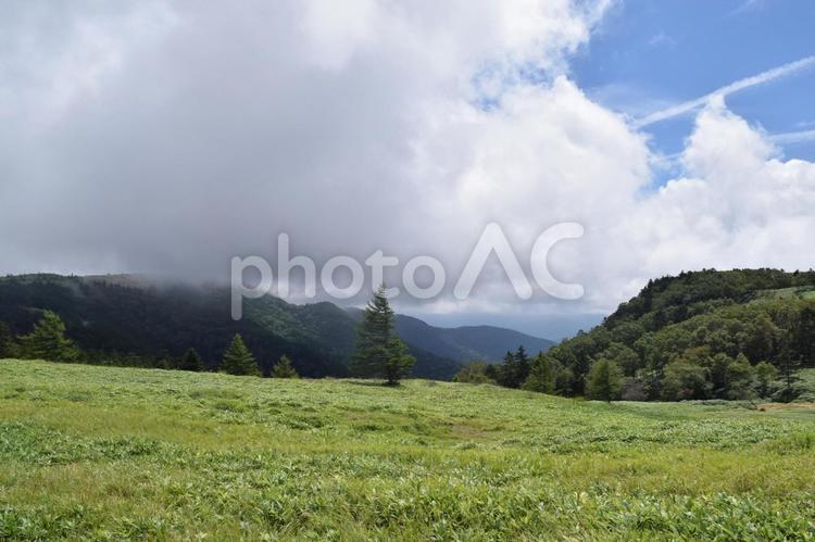 【長野】美ヶ原高原の風景 美ヶ原,美ヶ原高原,高原の写真素材