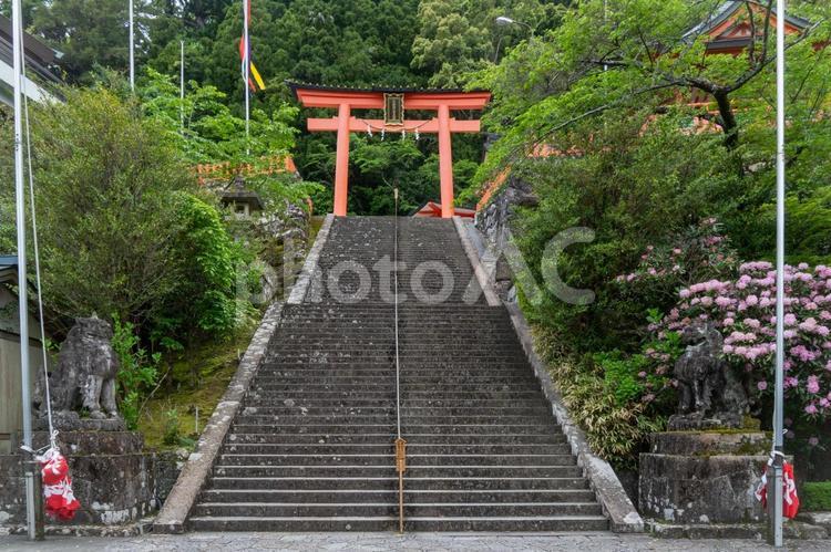 和歌山　熊野那智大社　二の鳥居 熊野那智大社,神社,和歌山県の写真素材