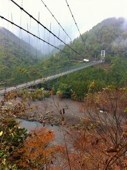 谷瀬の吊り橋 谷瀬,吊り橋,たにせばしの写真素材