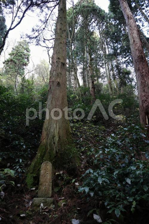 御岩神社　かびれ神宮 御岩神社,日立,賀毗礼神宮の写真素材