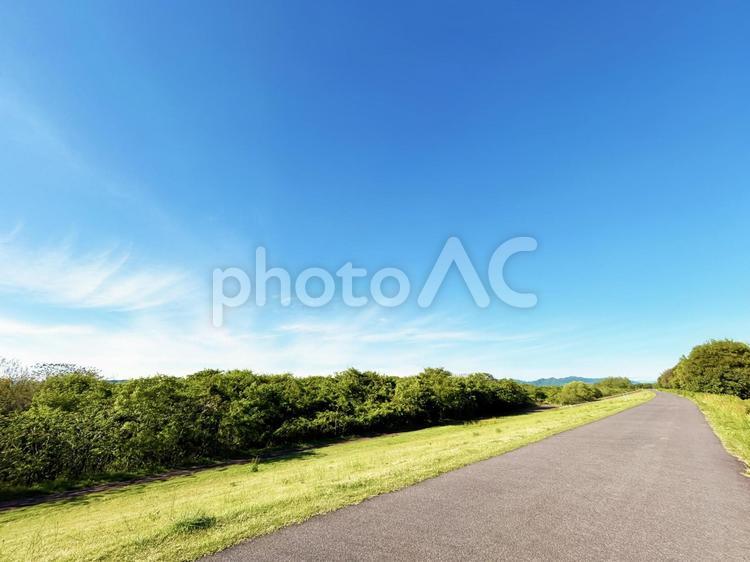 良く晴れた日のサイクリングロードと青空 サイクリングロード,サイクリング,道の写真素材