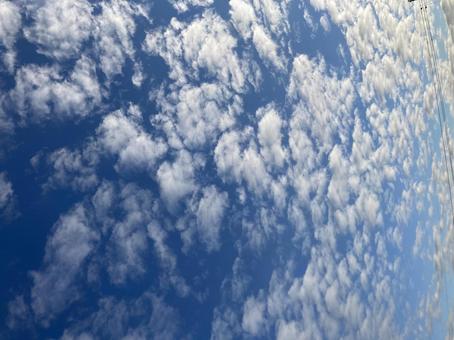 鱗雲 鱗雲の写真
