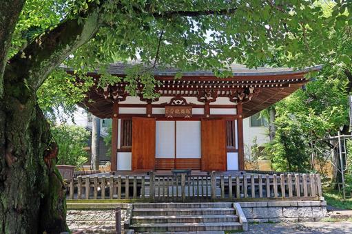 智清寺(板橋) 智清寺(板橋)の写真