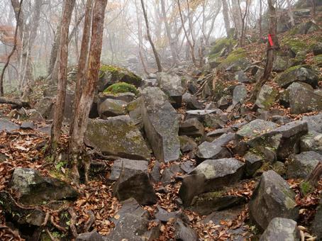 赤城山　黒檜山　登山道 赤城山,群馬県,前橋市の写真素材
