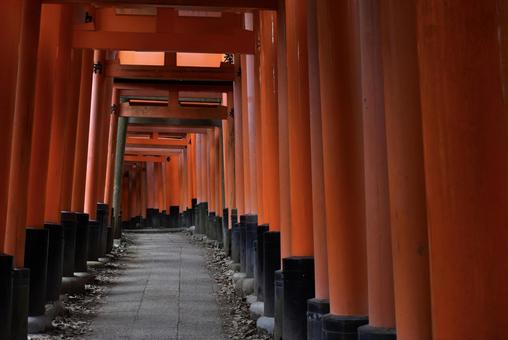 伏見稲荷神社 伏見稲荷神社 絶景,伏見稲荷神社,伏見稲荷の写真素材