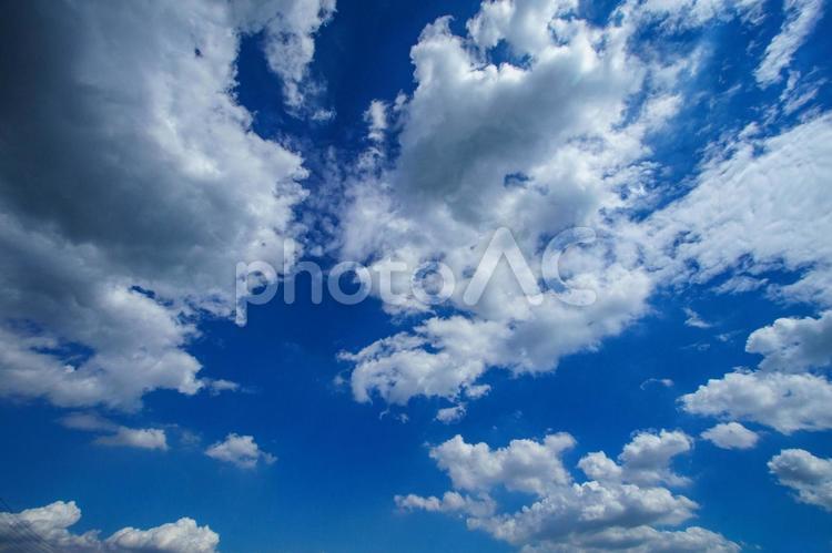秋の空と白い雲 空,雲,風景の写真素材