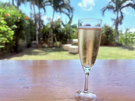 夏の庭で昼間から飲むシャンパン 夏の庭で昼間から飲むシャンパン シャンパン,ドリンク,アルコールの写真素材