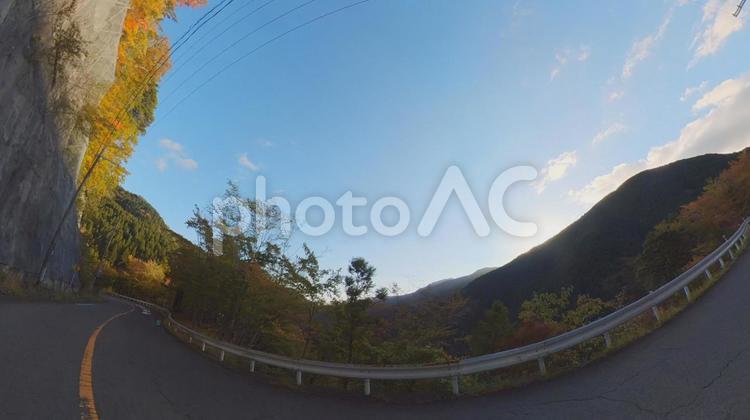 秋の紅葉ドライブ（車からの風景） 車窓,ドライブ,きれいの写真素材