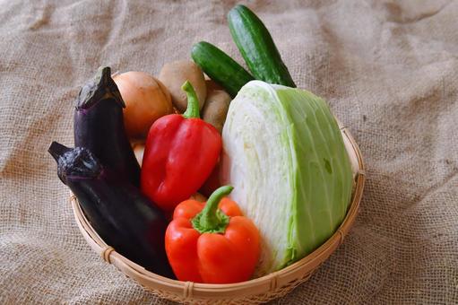 色々な野菜 色々な野菜の写真