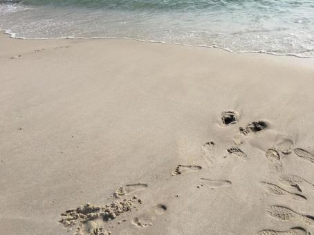 砂浜 海,足跡,砂浜の写真素材