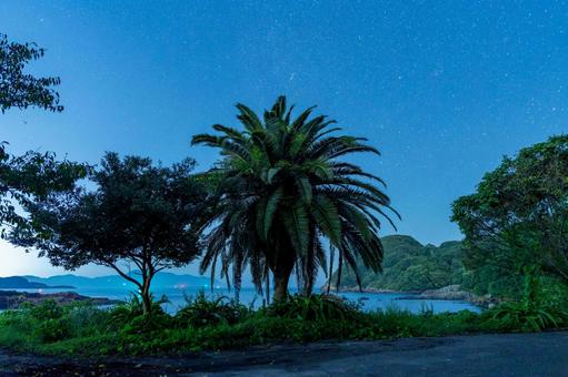 黒田の家臣付近の夜景 黒田の家臣付近の夜景 黒田の家臣,夜景,夜の写真素材