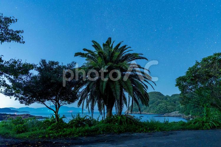 黒田の家臣付近の夜景 黒田の家臣,夜景,夜の写真素材