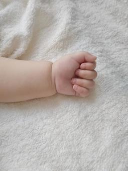 赤ちゃん（7ヶ月）の手 赤ちゃん,ボディパーツ,手の写真素材