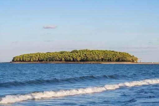 夕方の青島神社 青島神社,海,神社の写真素材