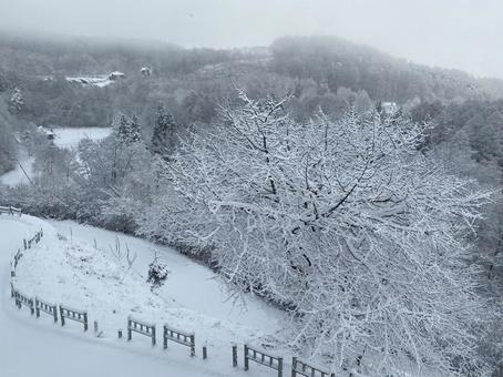 雪景色 雪景色の写真