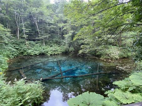 神の子池 北海道斜里郡清里町,クマ出没注意,清泉の写真素材