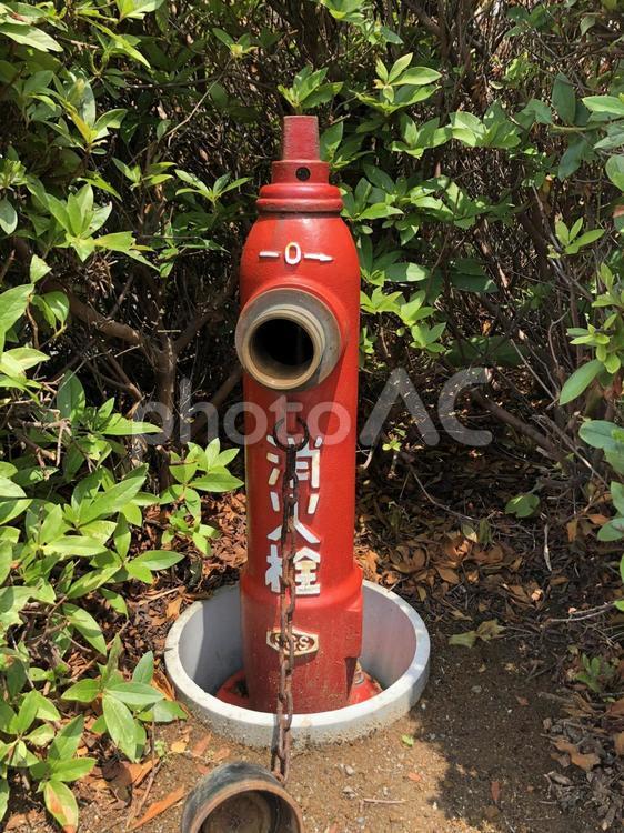 消火栓 火災,安全,ホースの写真素材