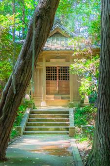 静寂に佇む森の社 静寂に佇む森の社 香取神社,四街道市,千葉県の写真素材