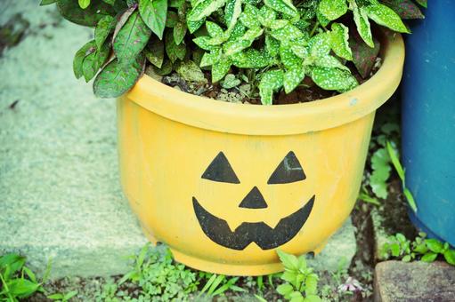ジャック・オー・ランタンの植木鉢 ジャック・オー・ランタンの植木鉢 ハロウィン,かぼちゃ,ジャックオーランタンの写真素材