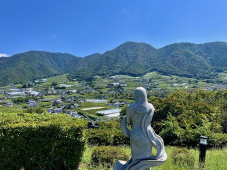 晩夏の山梨の風景5 晩夏の山梨の風景5 山梨県,勝沼,ぶどう郷の写真素材