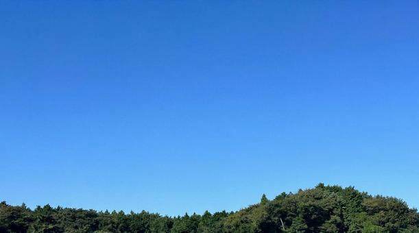 秋の青空の写真