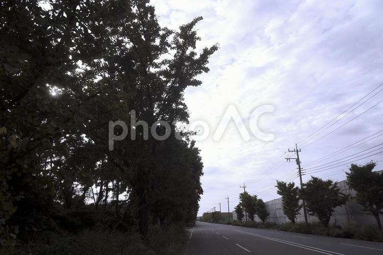 臨海地域の道 曇り,どんより,道の写真素材