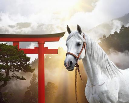 目出度い馬 目出度い馬の写真