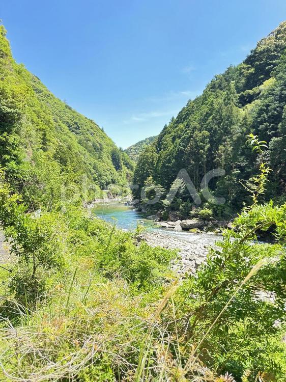 新宮市　高田川　清流 新宮市高田,高田川,河川敷の写真素材